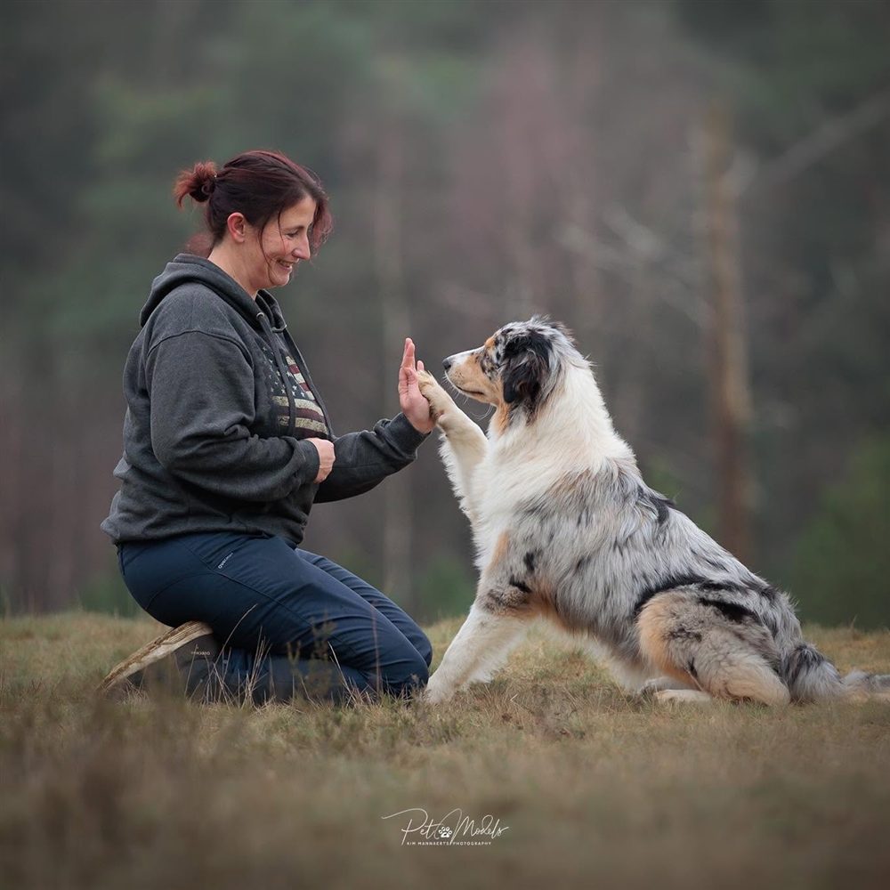 Vanessa van Pawsitive Steps traint met haar Australian Shepherd Kira